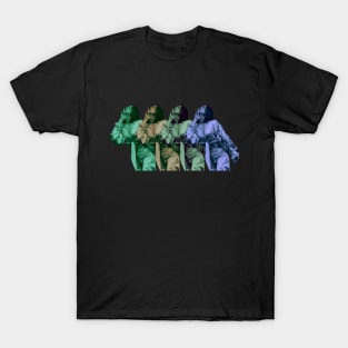 MITSKI TRANSITION T-Shirt